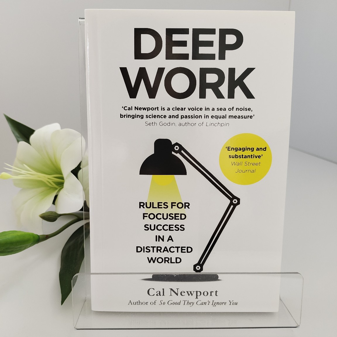 Renewable Energy Resources - Deep Work oleh Cal Newport |