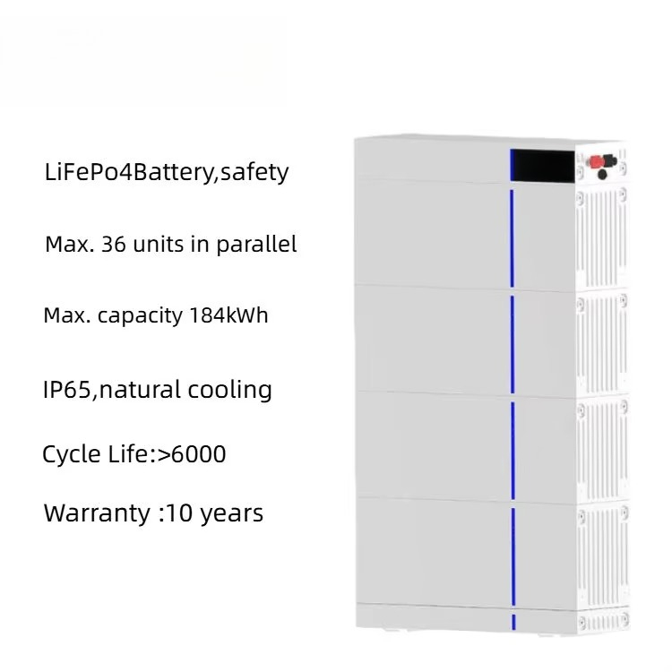 Paket Baterai LiFePO4 Penyimpa - Lifepo4 Battery Pack ulasan dan harga